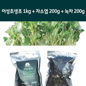 어성초생초1kg+자소엽+녹차